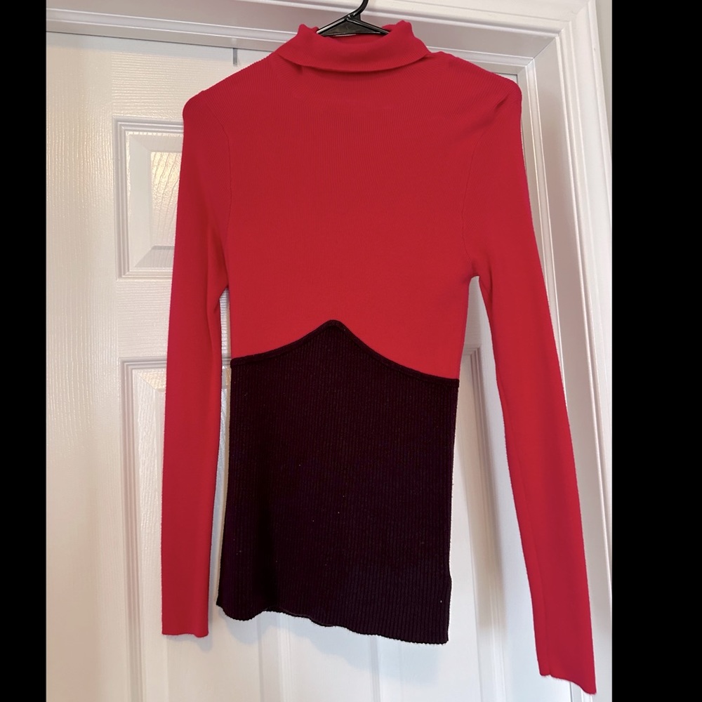 Express color block turtle neck